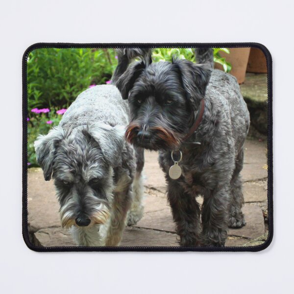 Item preview, Brian and Colin designed and sold by missmoneypenny.