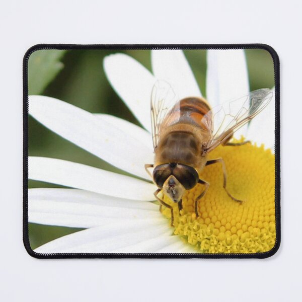 Item preview, Hungry hoverfly designed and sold by missmoneypenny.