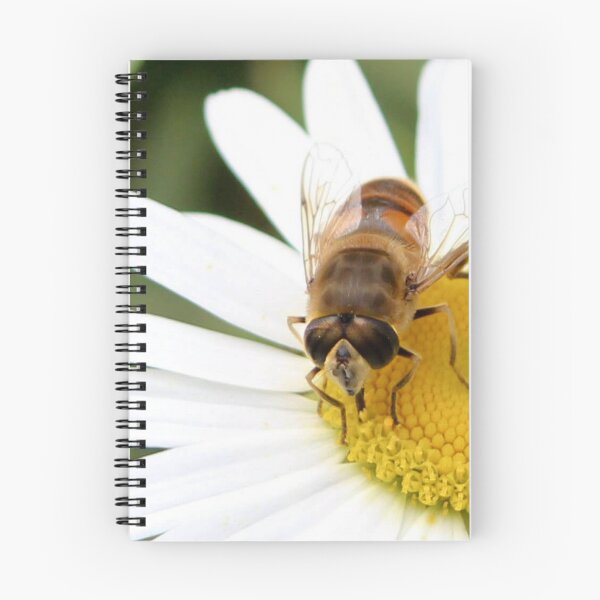 Item preview, Hungry hoverfly designed and sold by missmoneypenny.