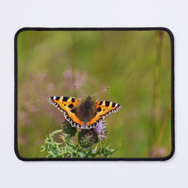 Item preview, Small tortoiseshell on a thistle designed and sold by missmoneypenny.