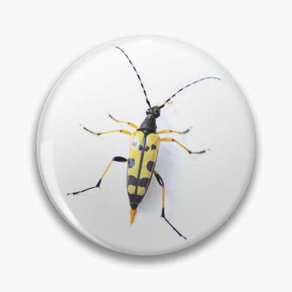 Item preview, Yellow spotted longhorn beetle  designed and sold by missmoneypenny.