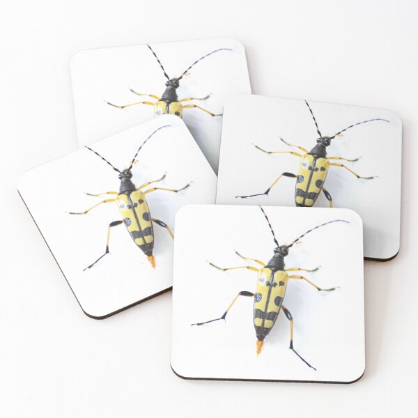 Item preview, Yellow spotted longhorn beetle  designed and sold by missmoneypenny.