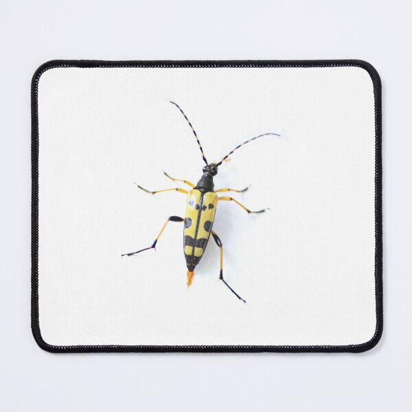 Item preview, Yellow spotted longhorn beetle  designed and sold by missmoneypenny.