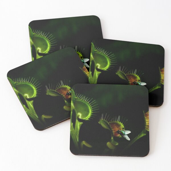Item preview, Beware the deadly trap designed and sold by missmoneypenny.
