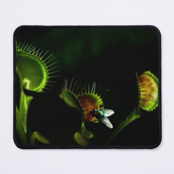 Item preview, Cuidado con la trampa mortal designed and sold by missmoneypenny.