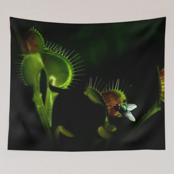 Item preview, Beware the deadly trap designed and sold by missmoneypenny.