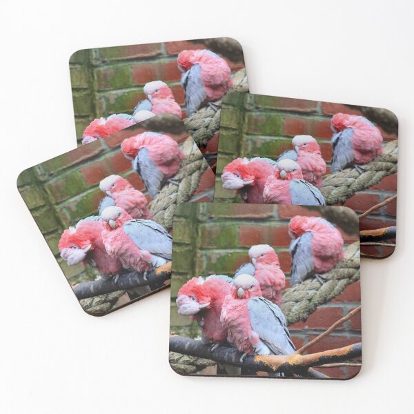 Item preview, Grooming galahs designed and sold by missmoneypenny.
