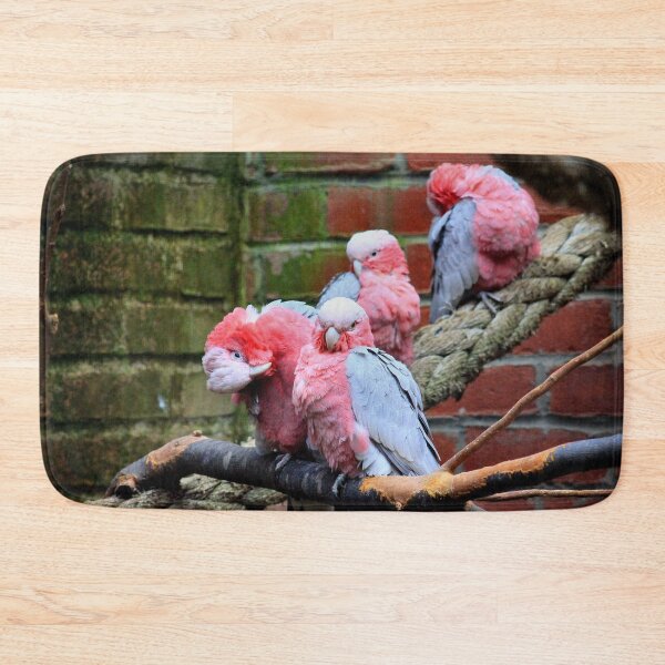 Item preview, Grooming galahs designed and sold by missmoneypenny.