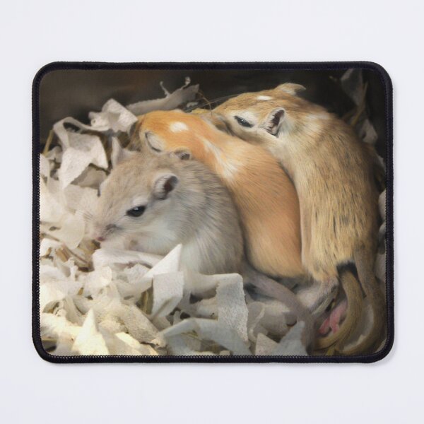 Item preview, There were three in a bed and the little one said ..... designed and sold by missmoneypenny.