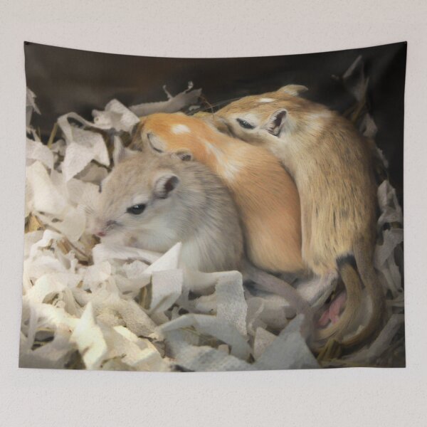 Item preview, There were three in a bed and the little one said ..... designed and sold by missmoneypenny.