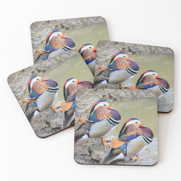 Item preview, Mandarin ducks designed and sold by missmoneypenny.
