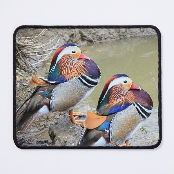 Item preview, Mandarin ducks designed and sold by missmoneypenny.