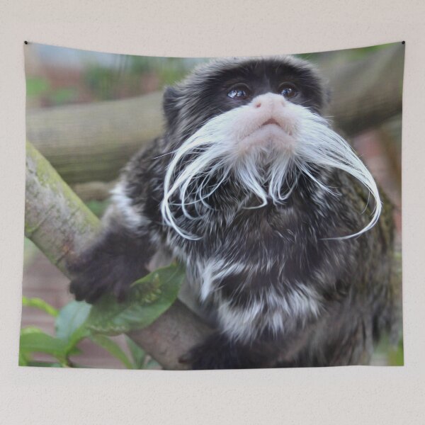 Item preview, Emperor Tamarin - image 1 designed and sold by missmoneypenny.