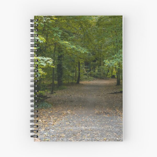 Item preview, The leaf Strawn Path designed and sold by Christine Lake.