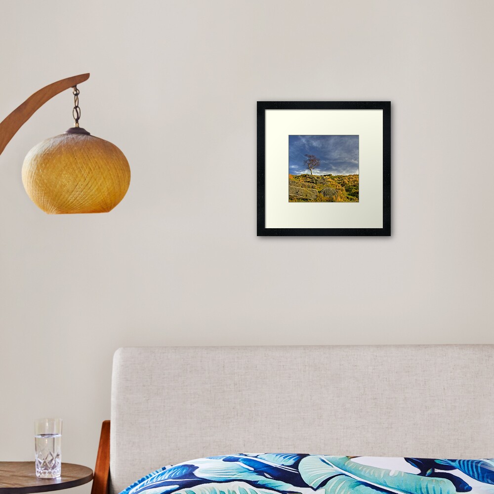 Lone Tree Framed Art Print