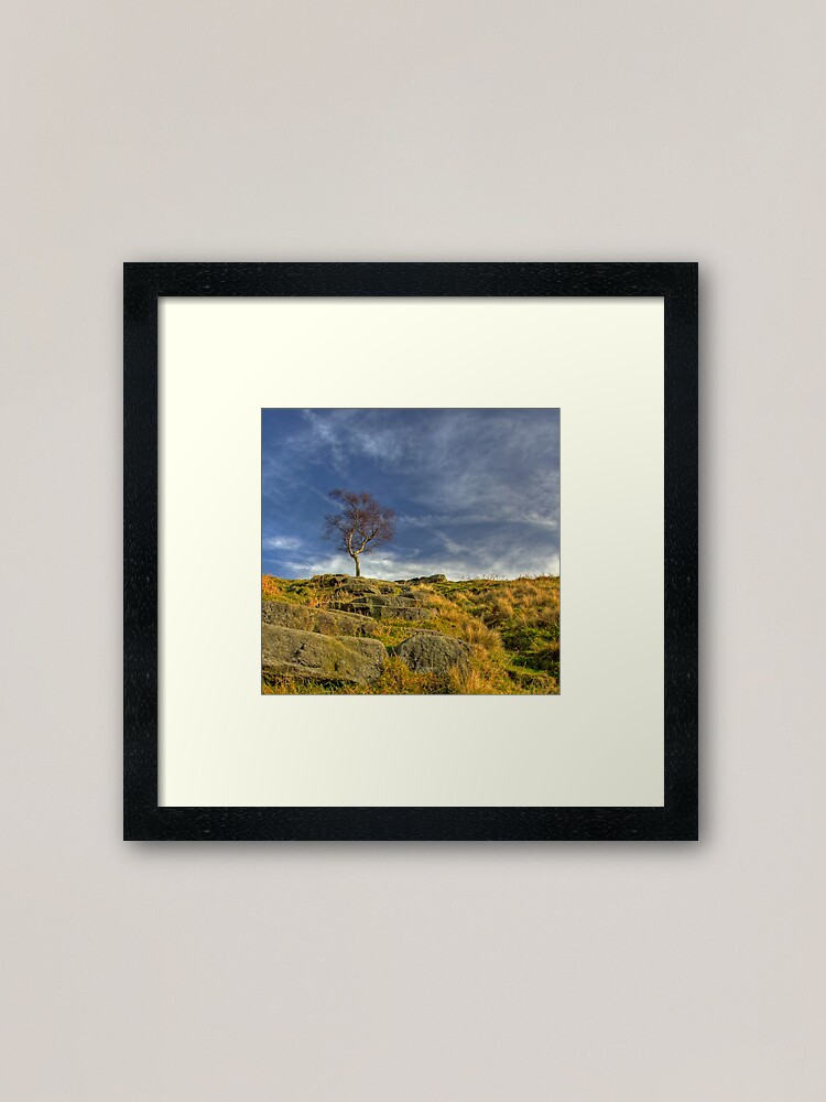 Alternate view of Lone Tree Framed Art Print