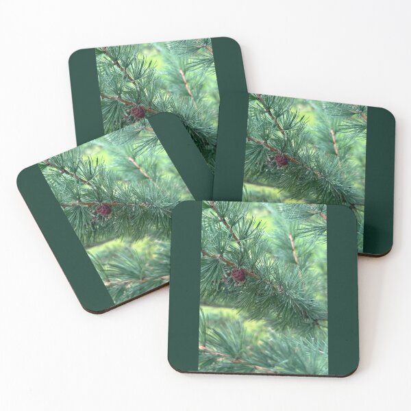 Item preview, Safety designed and sold by Emily.Kimball.Photos.