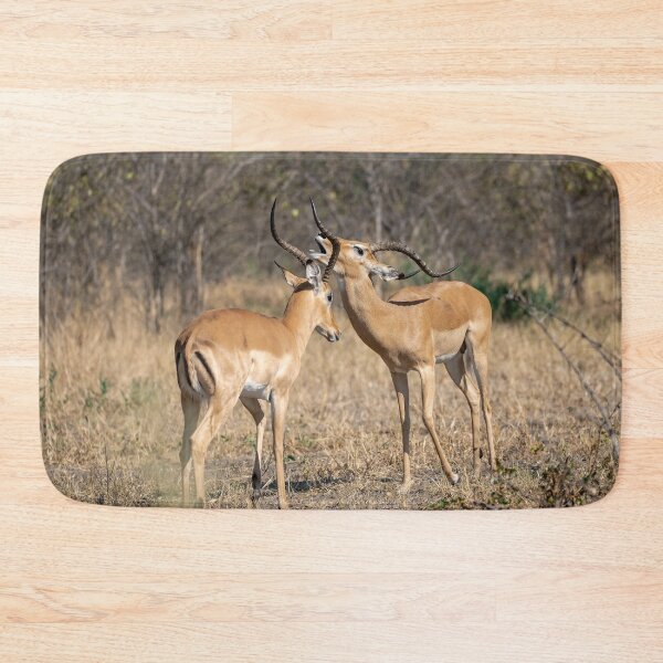Item preview, Quiet Tension — Male Impalas Face to Face in the Dry Bush, Africa designed and sold by DavideAntoniani.