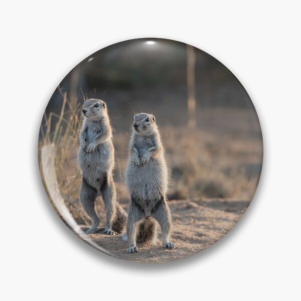Item preview, Sunlit Sentinels — Ground Squirrels Standing in the Sand, Africa designed and sold by DavideAntoniani.
