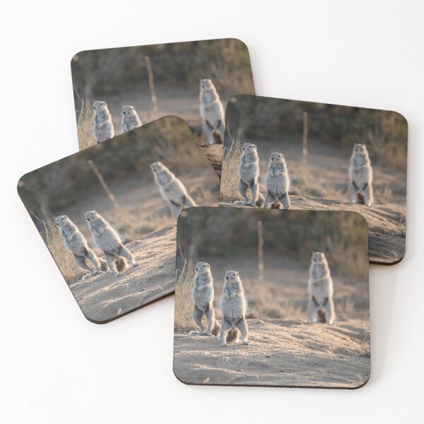 Item preview, Sunlit Sentinels — Ground Squirrels Standing in the Sand, Africa designed and sold by DavideAntoniani.