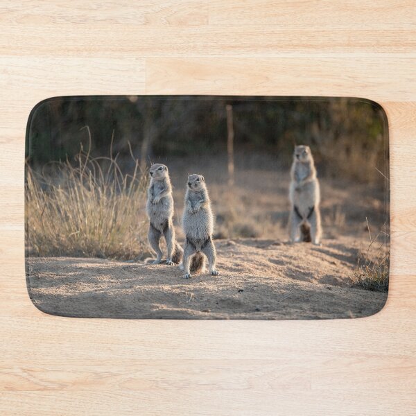 Item preview, Sunlit Sentinels — Ground Squirrels Standing in the Sand, Africa designed and sold by DavideAntoniani.