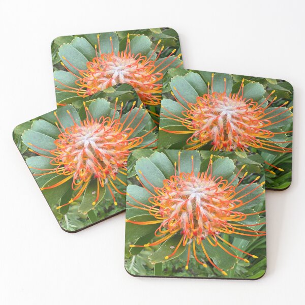 Item preview, Orange Pincushion Protea Flower designed and sold by TrisaThyme.