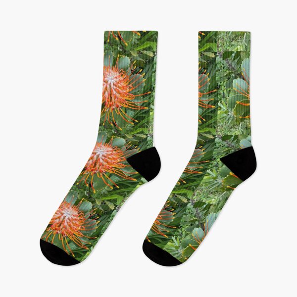 Item preview, Orange Pincushion Protea Flower designed and sold by TrisaThyme.