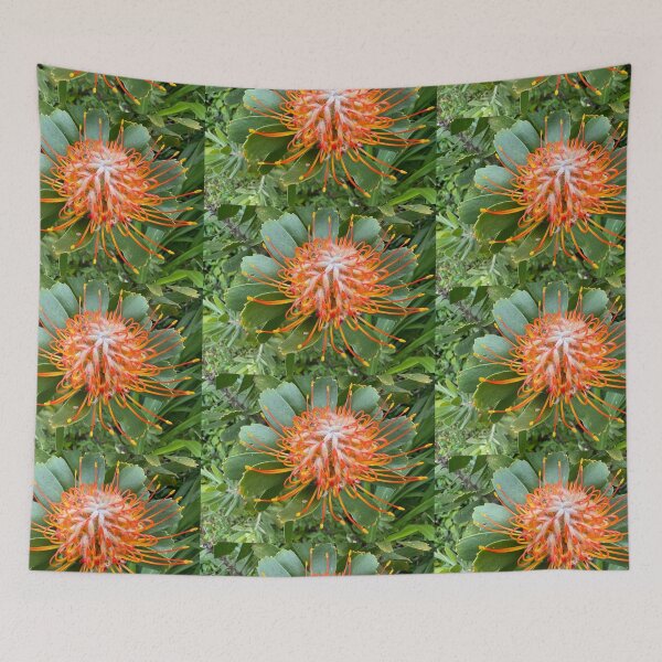 Item preview, Orange Pincushion Protea Flower designed and sold by TrisaThyme.