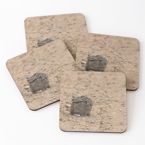 Item preview, Roadside Stillness — African Hare on the Sandy Track, Africa designed and sold by DavideAntoniani.