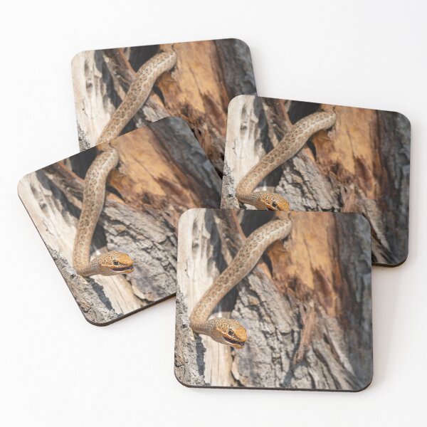 Item preview, Amber Scales — Arboreal Snake on Tree Bark designed and sold by DavideAntoniani.