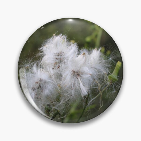 Item preview, Prickly lettuce  designed and sold by McFleur's Lens.