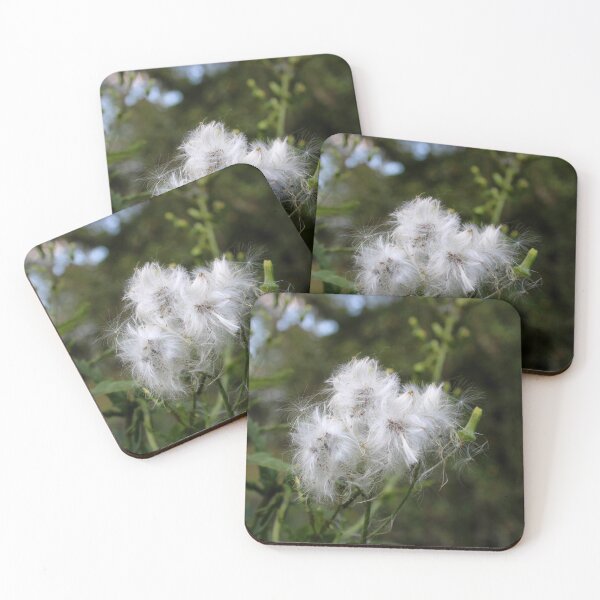 Item preview, Prickly lettuce  designed and sold by McFleur's Lens.