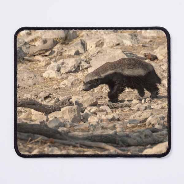Item preview, Ratel on the Rocks — Honey Badger on the Move designed and sold by DavideAntoniani.