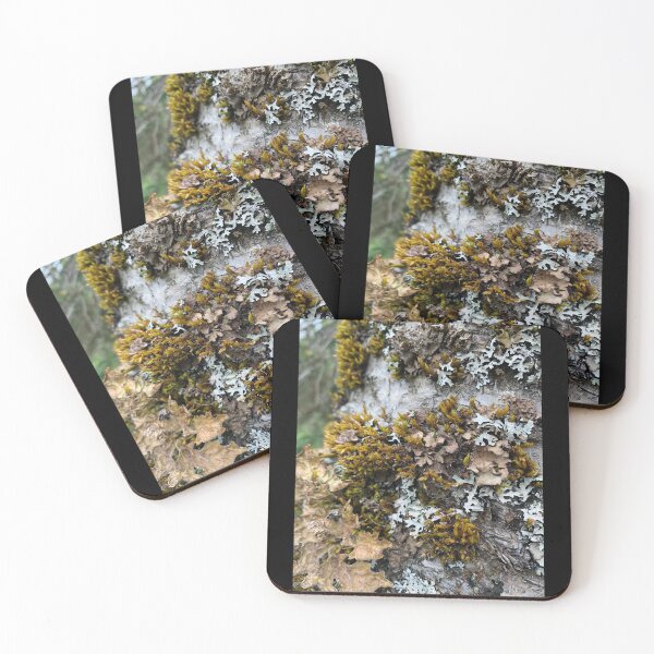 Item preview, Lovable Lichen designed and sold by Emily.Kimball.Photos.