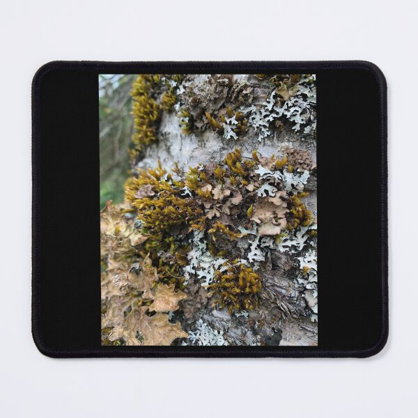 Item preview, Lovable Lichen designed and sold by Emily.Kimball.Photos.