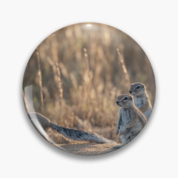 Item preview, Glow at the Burrow — Ground Squirrels in Backlight designed and sold by DavideAntoniani.