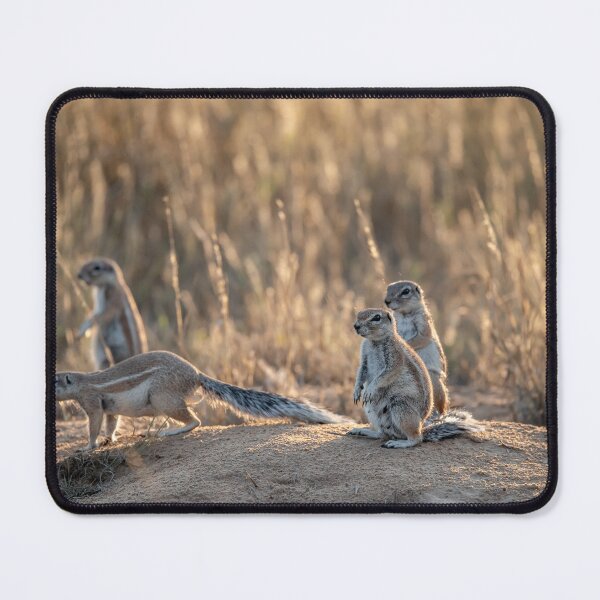 Item preview, Glow at the Burrow — Ground Squirrels in Backlight designed and sold by DavideAntoniani.