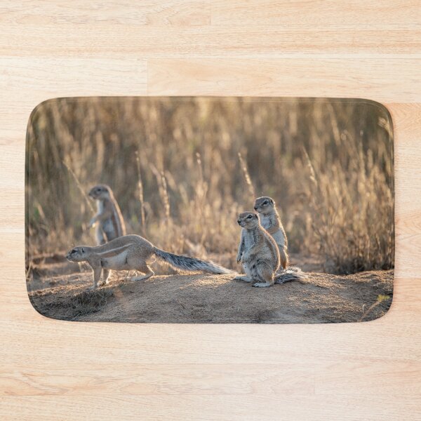 Item preview, Glow at the Burrow — Ground Squirrels in Backlight designed and sold by DavideAntoniani.
