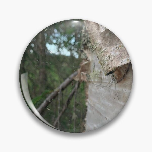 Item preview, Curling Birch Bark designed and sold by Emily.Kimball.Photos.
