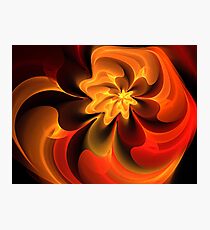 Orange Ruby Nautilus Photographic Print