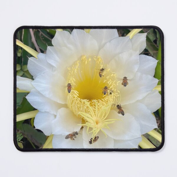 Item preview, Dragon Fruit Blossom with Bees designed and sold by TrisaThyme.