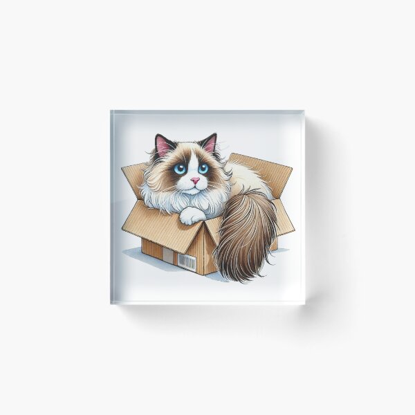 Item preview, Ragdoll Cat In A Cardboard Box designed and sold by Lion and Lamb Design.
