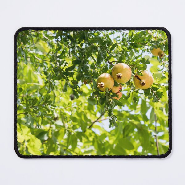Item preview, Sweet Ripe Pomegranates Ready to Eat designed and sold by Georgia Mizuleva.
