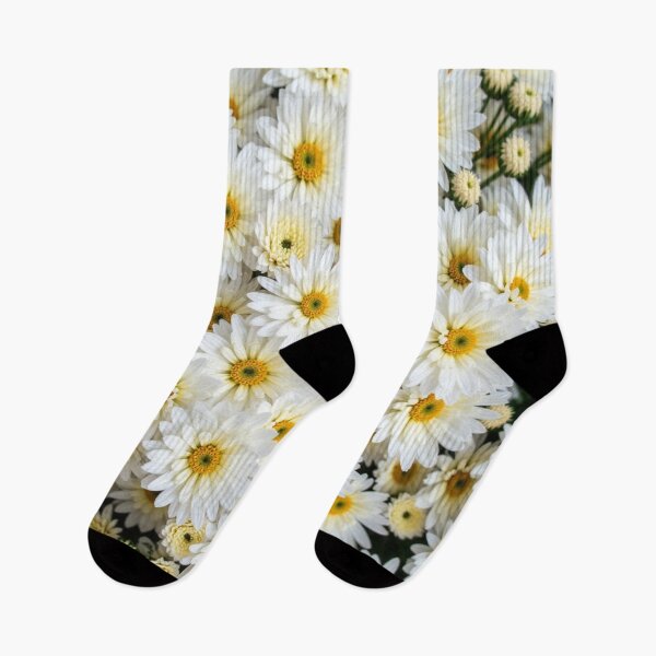 Item preview, White flowers. Fall mums. Mum flowers blossom. Floral design designed and sold by PlaceToBuyGifts.