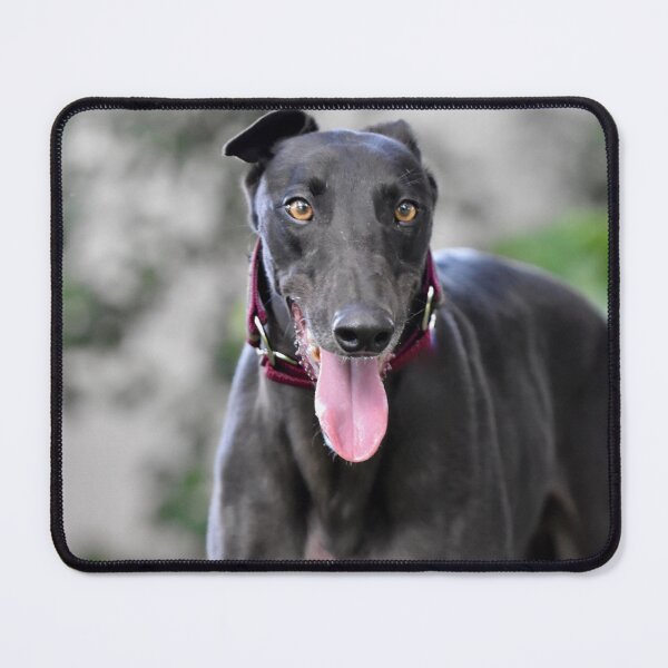 Item preview, Beautiful Black Greyhound Dog designed and sold by VanGaldo.