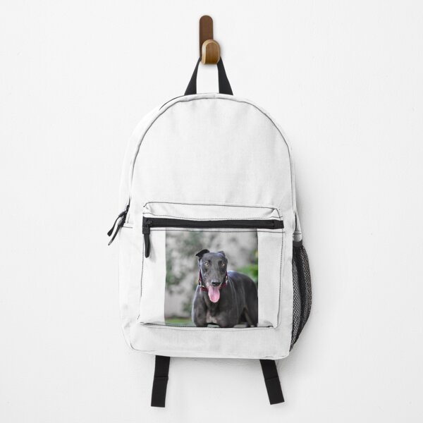 Item preview, Beautiful Black Greyhound Dog designed and sold by VanGaldo.