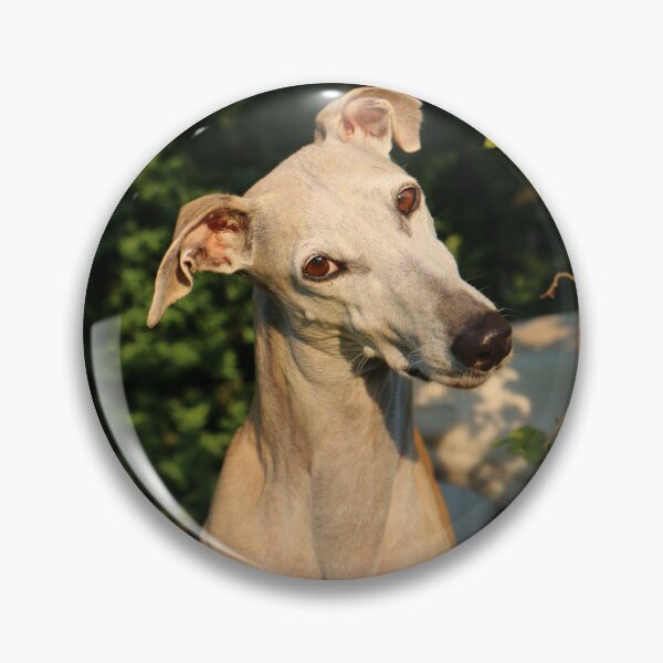 Item preview, Head Tilting Cute Greyhound Dog  designed and sold by VanGaldo.