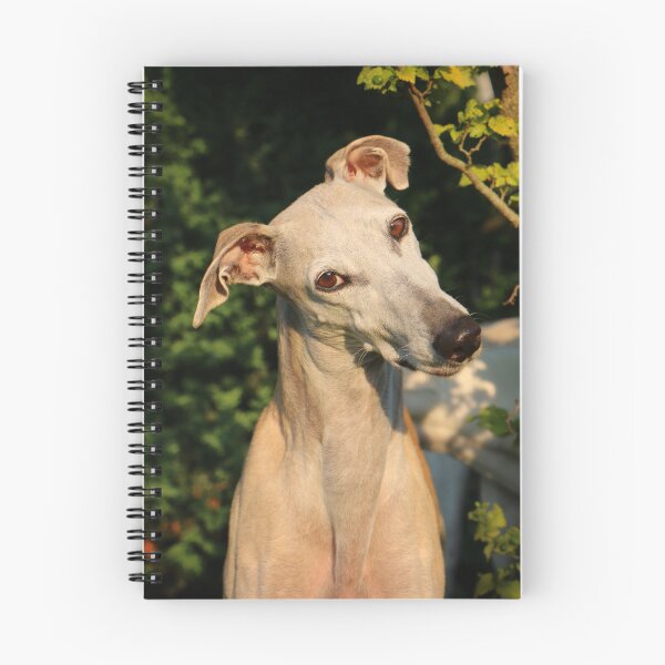 Item preview, Head Tilting Cute Greyhound Dog  designed and sold by VanGaldo.