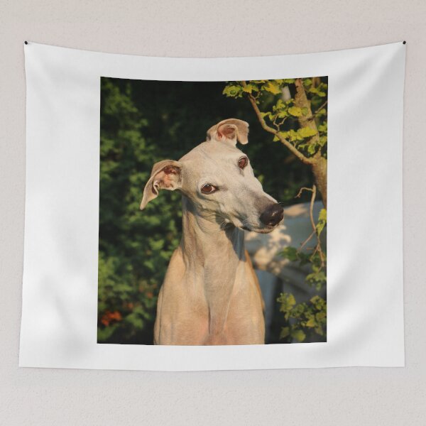 Item preview, Head Tilting Cute Greyhound Dog  designed and sold by VanGaldo.
