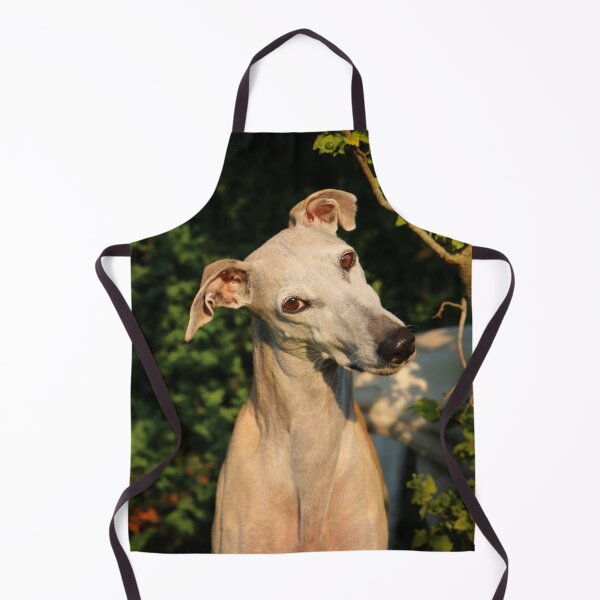 Item preview, Head Tilting Cute Greyhound Dog  designed and sold by VanGaldo.